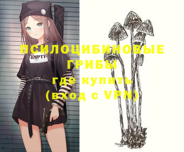 СК Михайловка