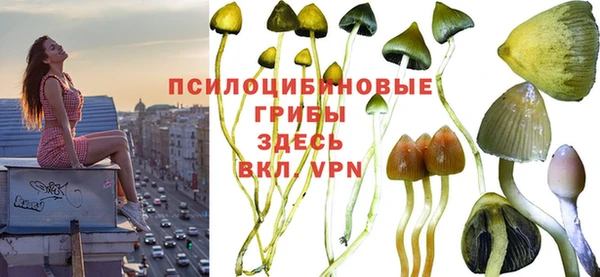СК Михайловка