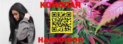 стаф Гагарин