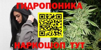 индика Балаково