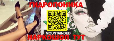 стаф Гагарин