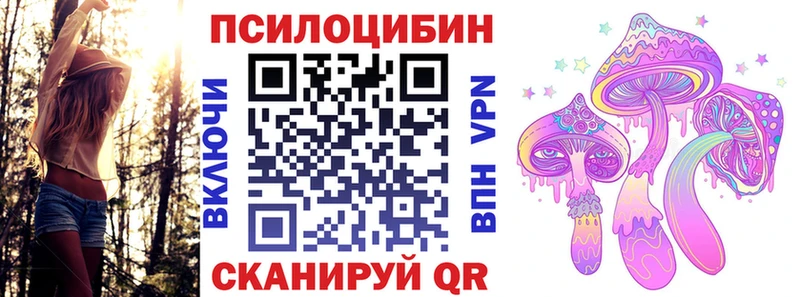 Псилоцибиновые грибы Psilocybe блэк спрут ссылки Еманжелинск