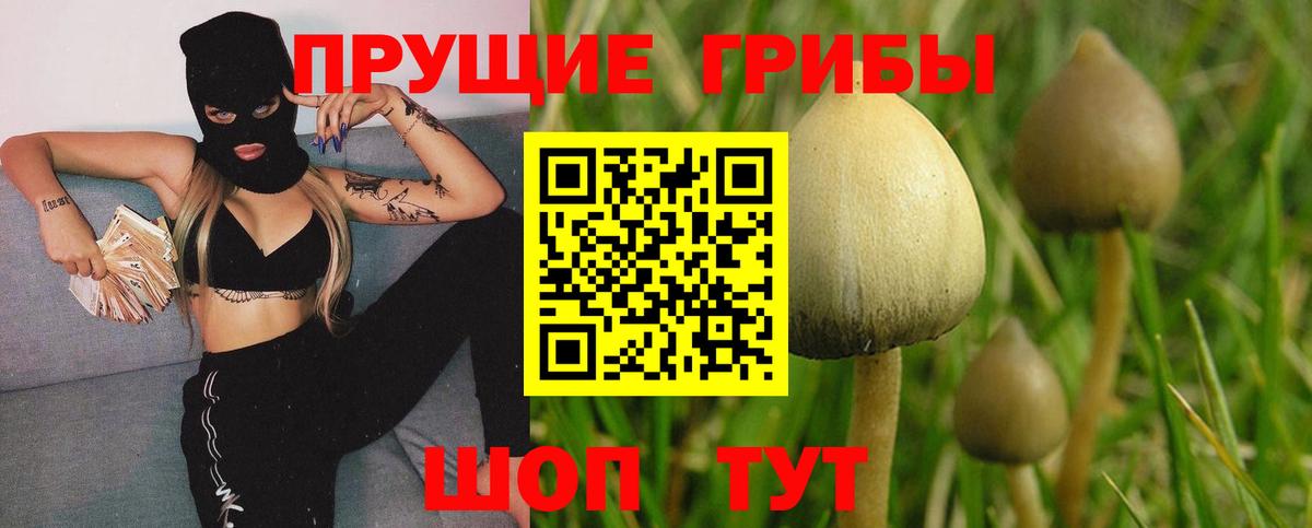 Еманжелинск  Галлюциногенные грибы ЛСД  Псилоцибиновые грибы GOLDEN TEACHER  Вход с VPN 